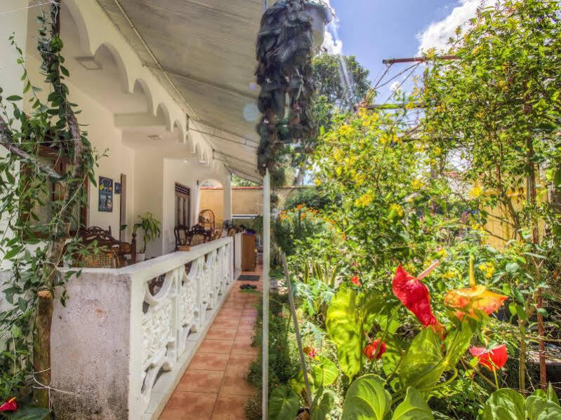 Guesthouse Kind And Love Hikkaduwa Dış mekan fotoğraf